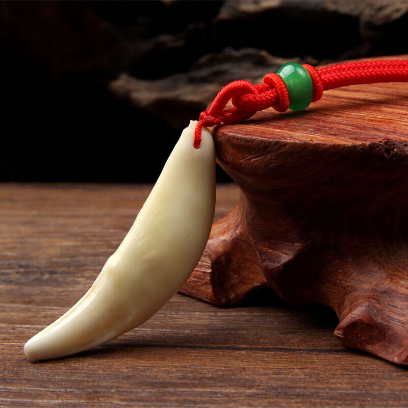 创京懿选鳄鱼牙齿吊坠 大黑狗牙真狗牙黑色藏獒牙齿獠牙狼牙本命年