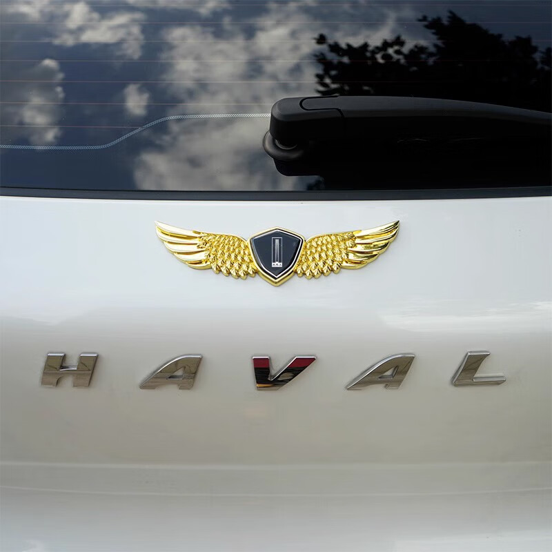 木飞鱼魏派wey vv6 vv5摩卡vv7拿铁dht车标装饰贴机盖标改装立标侧