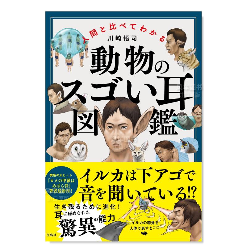 动物神奇耳朵图鉴 人間と比べてわかる 動物のスゴい耳図鑑日文原版图书书籍艺术