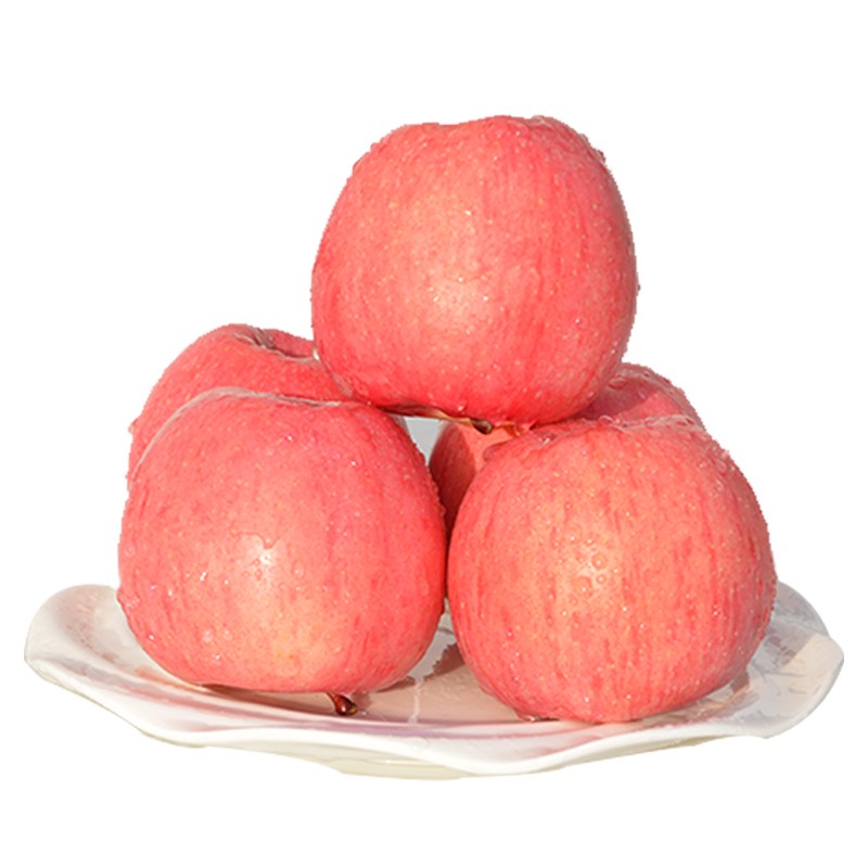 红六福（REDLEOFU）【静宁苹果】静宁红富士苹果甘肃特产生鲜水果 静宁特产套餐组合600