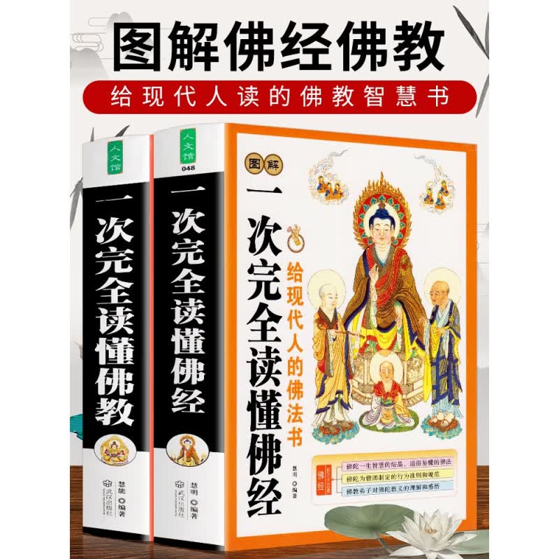正版全2册 图解一次完全读懂佛法+佛经 学佛经佛学佛学入门基础知识 金刚经心经坛经楞严经学禅宗论无量寿经法华经华严经心经书籍