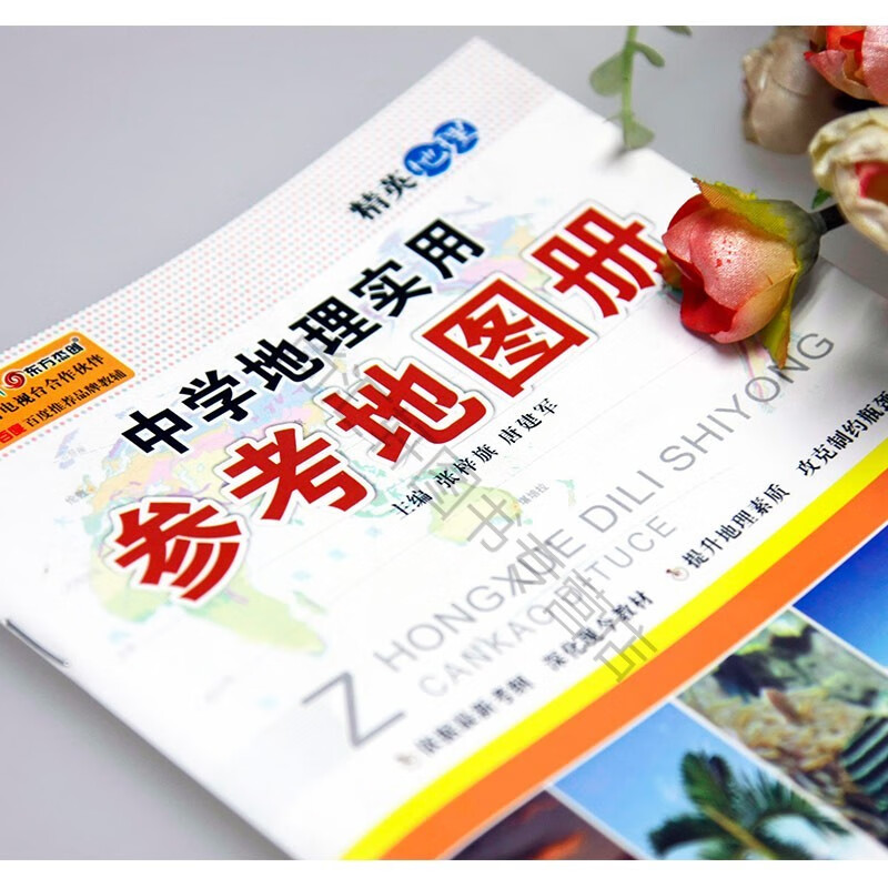 中学地理实用参考地图册 地理学习 高考总复习 一轮复习 初高中通用 新高考配套工具书 地理