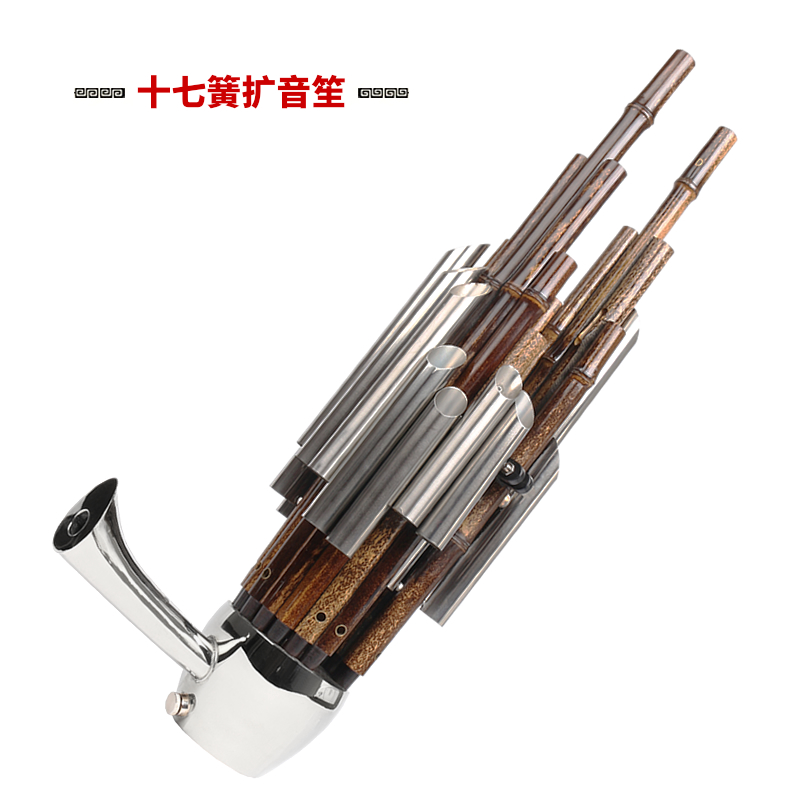 新艺17簧14簧扩音笙乐器大全圆笙方笙修笙工具竽乐器笙包初学者 17簧扩音笙(紫竹白管)-D调高性价比高么？
