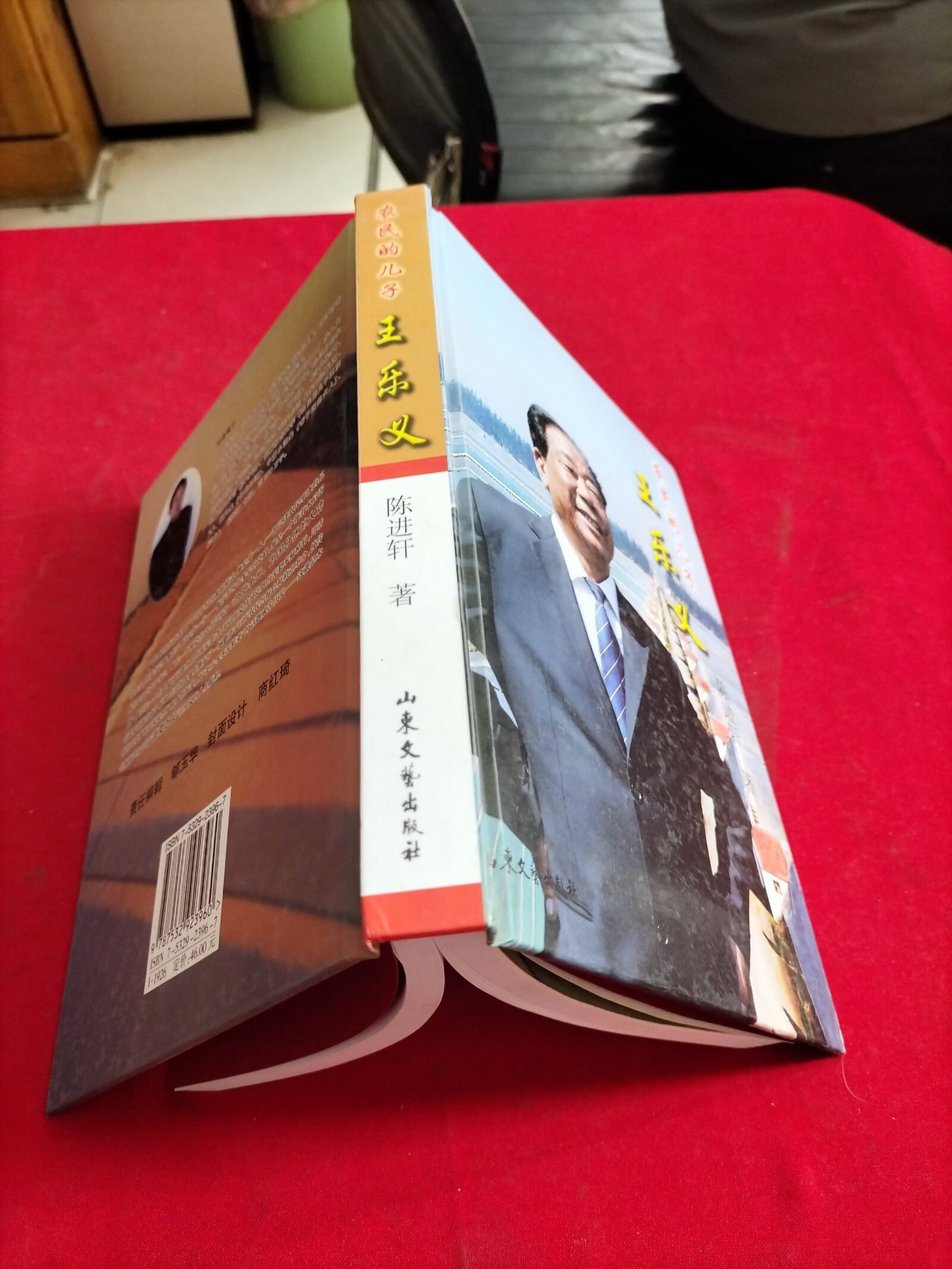 (旧书九成新)农民的儿子王乐义【精装本】