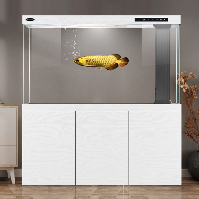 汉霸 超白玻璃生态免换水大型鱼缸 靠墙款1.0米长x40cm宽x153cm高 带水泵玻璃灯盖 客厅家用智能鱼缸水族箱
