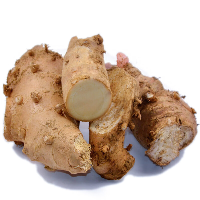 贵州草果根草果花根天然香料大料熬汤炖肉做卤水配料可种植 净根500克