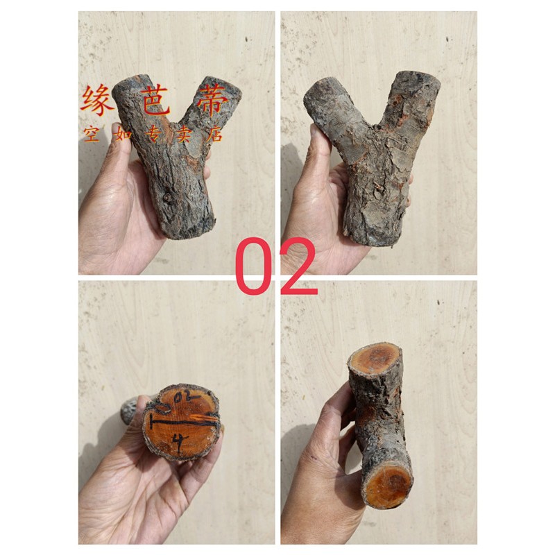 缘芭蒂(yuanbadi)麻梨疙瘩原料 火琉璃弹弓料木叉树叉大叶鼠李木实木