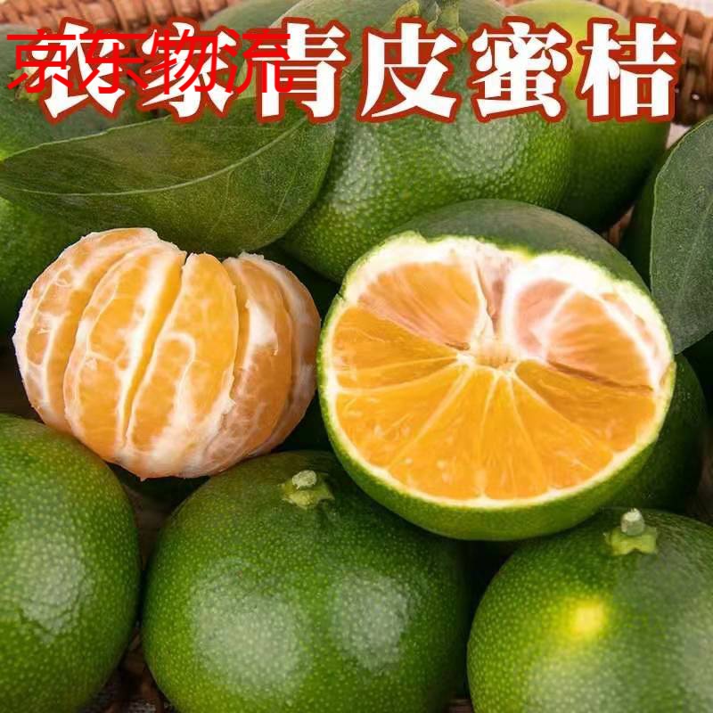 青皮蜜桔柑橘子无核新鲜酸甜柑橘孕妇水果现摘早熟8斤生鲜 5斤装