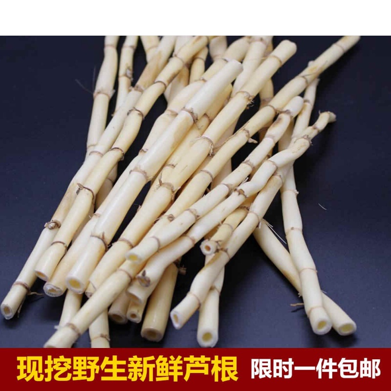 伟博 新鲜白芦根 真空 新鲜 芦苇根  另有白茅根凉茶食材500克
