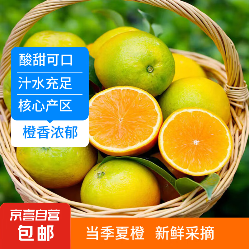 【当季鲜橙】夏橙 酸甜可口 湖南现采现摘 补充维C 橙子 新鲜水果 带箱5斤中果（55-65mm)
