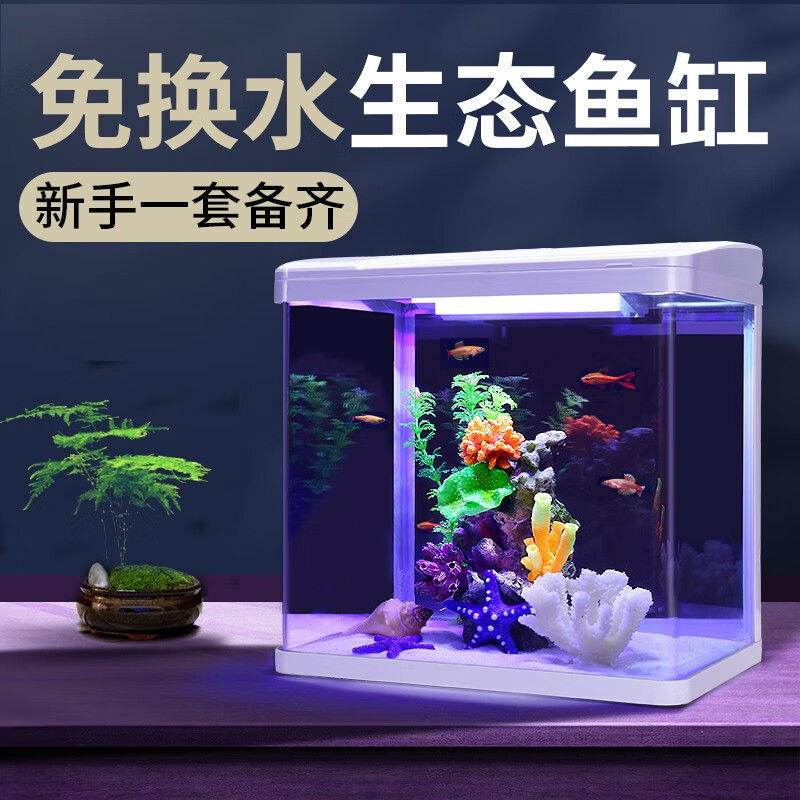 内幕评测YEE鱼缸水族箱揭秘评测如何？入手半年使用感受揭秘