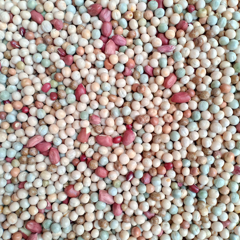 鸽子用品信鸽鸽粮豌豆特价鸽子饲料品牌优质鸽子粮食鸽料鸽子食物