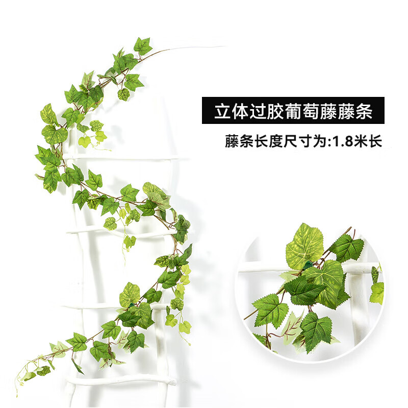 ŷ�׶���Ou Mi En�� ��Ҷװ������������ֲ������Ҷ��Ҷ�ڵ���������Ҷ����ֲ�� ���������������