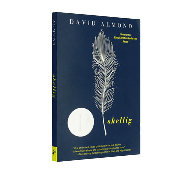 预售 英文原版 Skellig 当天使坠落人间 David Almond 普林兹文学奖 青少年课外阅读小说
