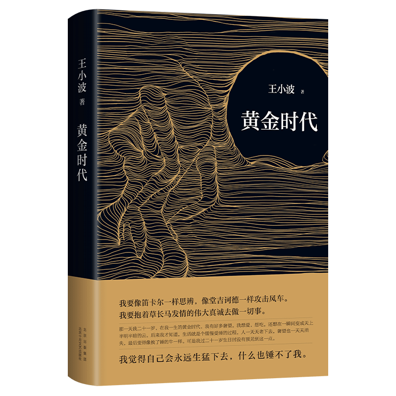 中国当代小说新经典品牌:稳定价格又畅销,王小波的黄金时代更是不可错过