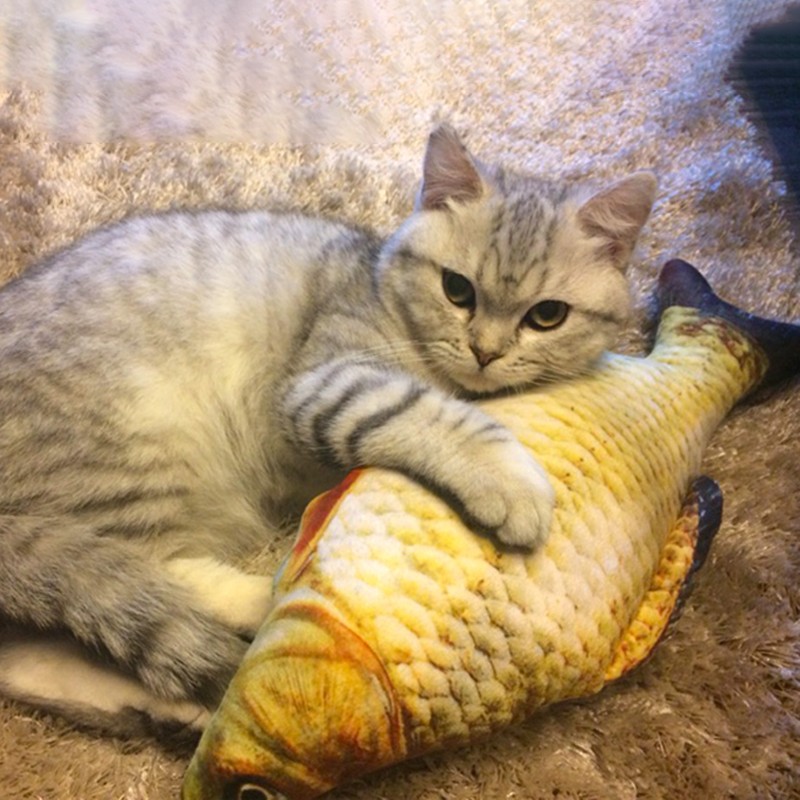 奥伊达(aoyida)猫玩具逗猫玩具猫抱枕草鱼宠物仿真毛绒猫咪鱼玩具非