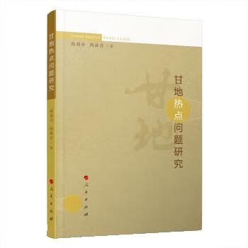 甘地热点问题研究