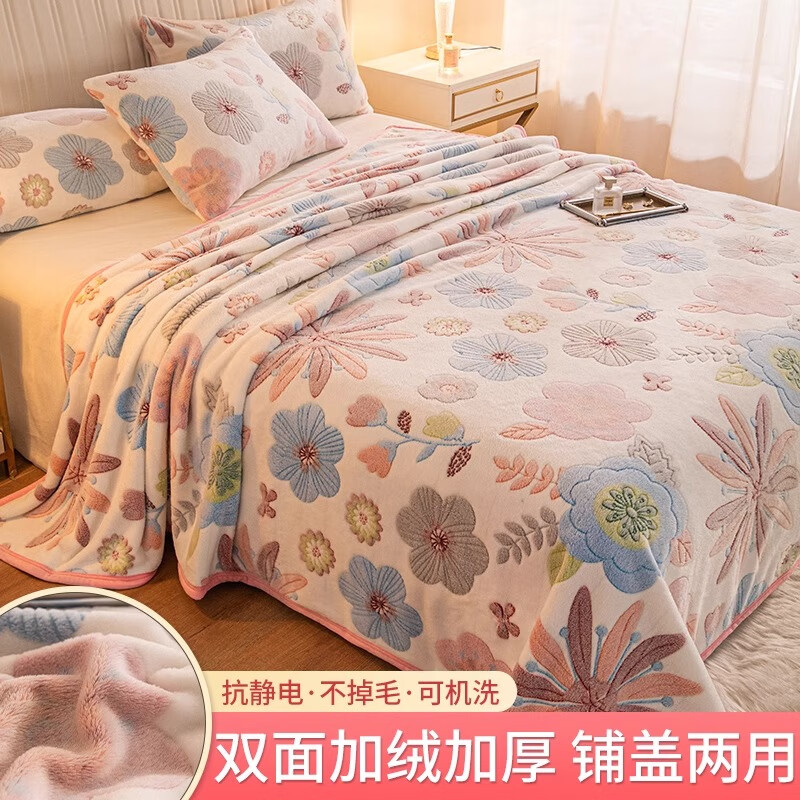 鹤山美雅拉舍尔毛毯冬季珊瑚绒毛毯子法兰牛奶绒床单双面加绒铺床