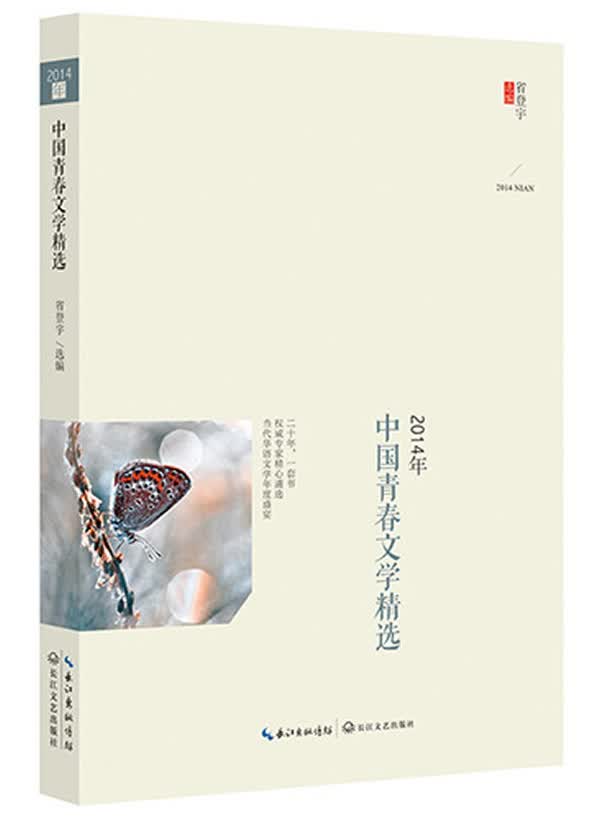 2014年中国青春文学精选