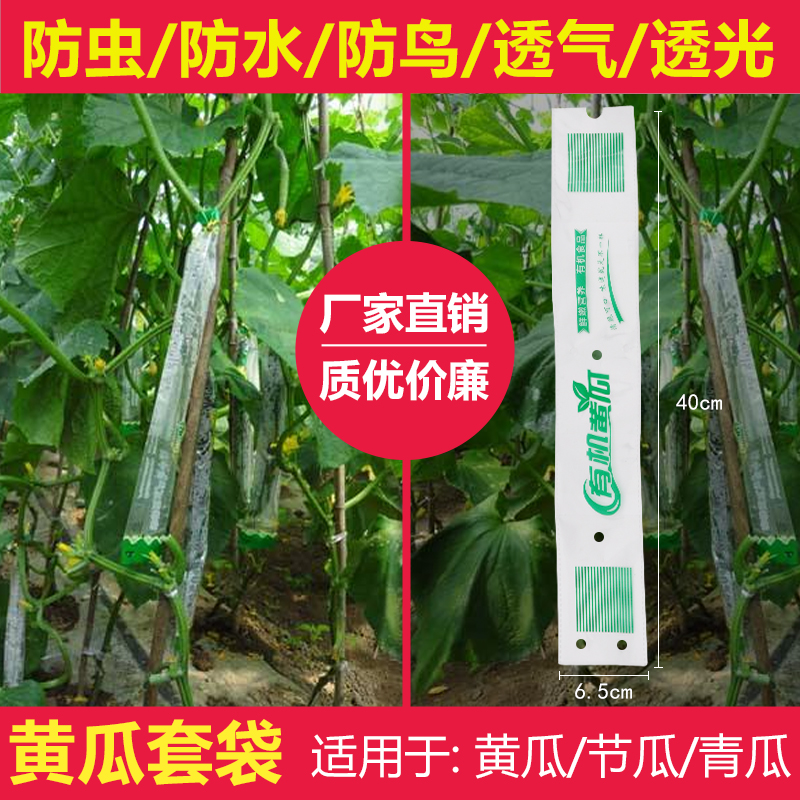 苦瓜套袋黄瓜套袋丝瓜防水防虫袋子黄瓜丝瓜节瓜青瓜防虫袋果蔬保护套