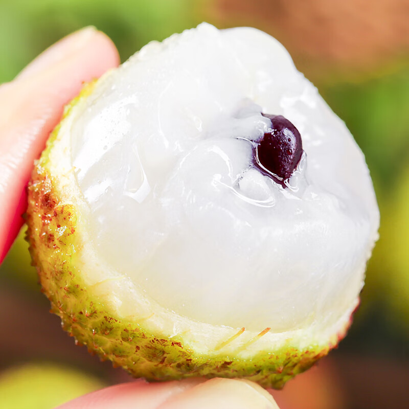 土八鲜海南妃子笑荔枝水果 2024新鲜花香桂现摘火山口白罂糖荔枝 超值装 5斤 【精选品质】 果园直发