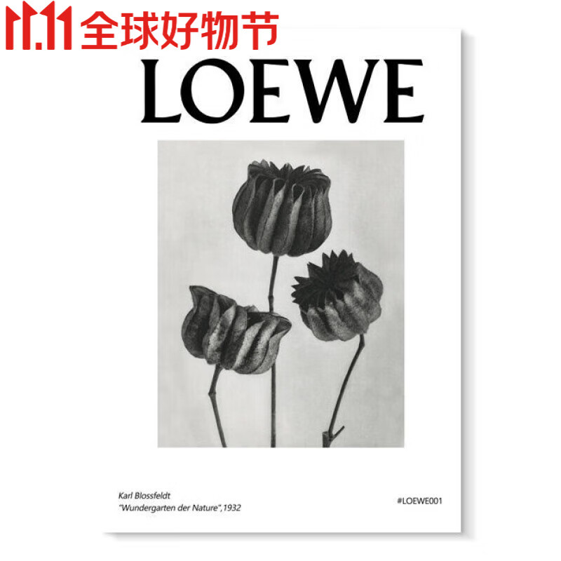 黑白英文字母loewe小众装饰画桌面摆画电视玄关极简轻奢挂画 a 30*40