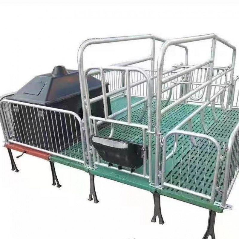 母猪产床双体单体产保一体加厚保育两用仔猪分娩床猪场设备 非标2.