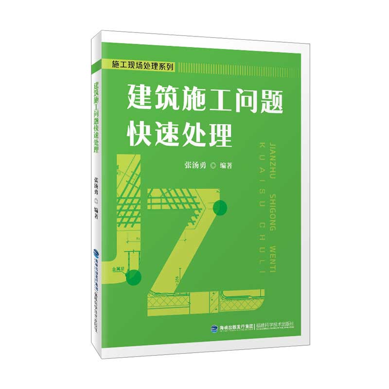 施工问题快速处理 张汤勇 9787533558246【正版】
