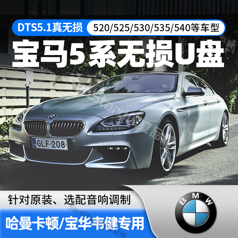 【g】宝马5系老款usb接口(黑胶u盘) 官方标配