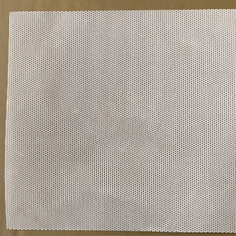 适之白色pp打孔板pe硬塑料隔板阳台置物镂空网格板鱼缸过水防水冲孔 1