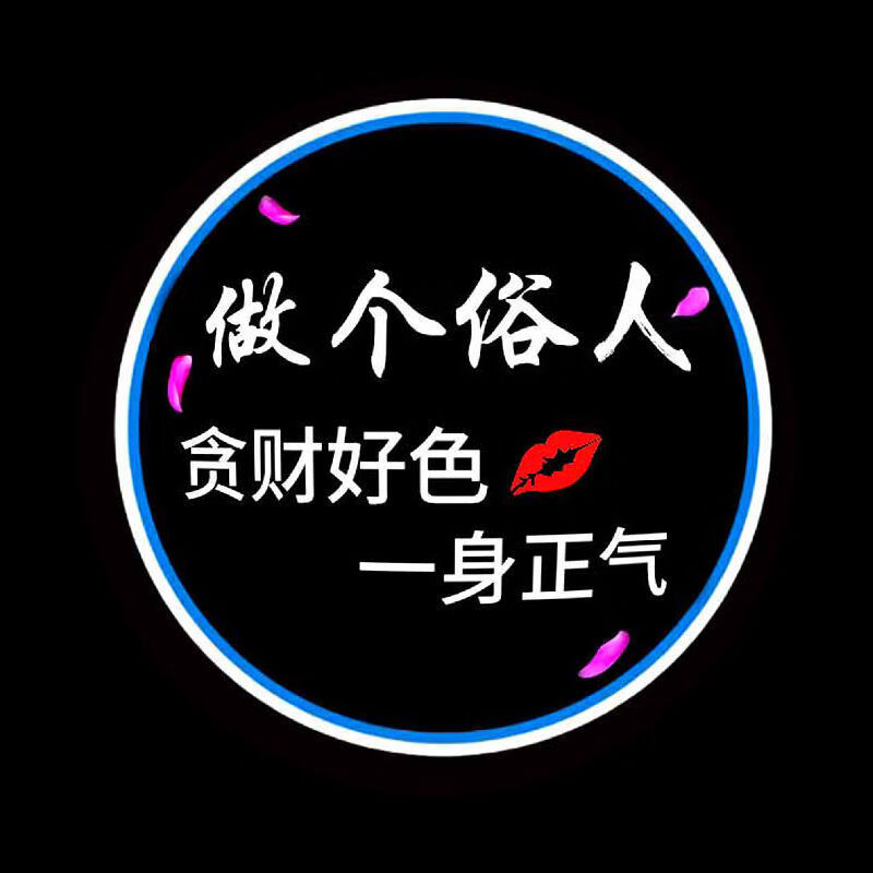 开门投影照地车门灯感应车内氛围迎宾灯改装饰用品大全 做个俗人2个装
