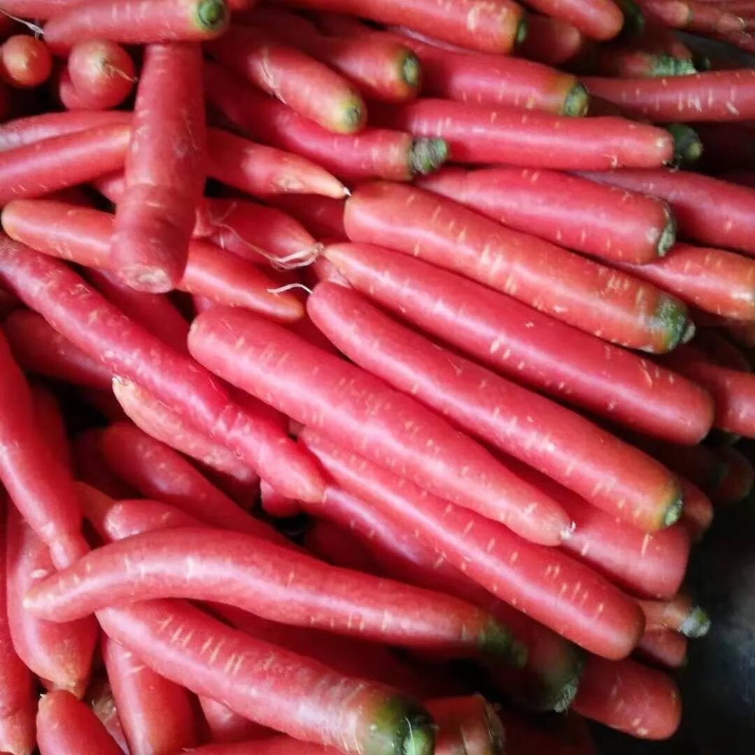 【精选果蔬】《》2022四川威远特色时令应季蔬菜农家新鲜红萝卜脆甜