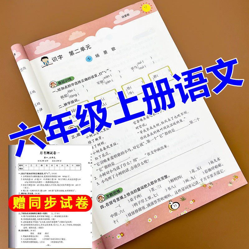 赠测试卷一二三四五六年级语文和数学上下册同步练习册人教版全套 六年级上册 语文+数学