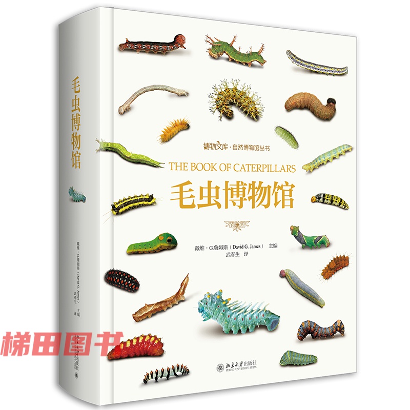 毛虫博物馆 科普图鉴 毛毛虫研究参考工具书 青少年昆虫百科知识大全
