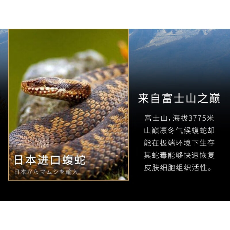 姿维凯日本蛇毒眼霜淡化紧致黑眼圈眼袋眼细纹脂肪粒非男女抗皱 15g