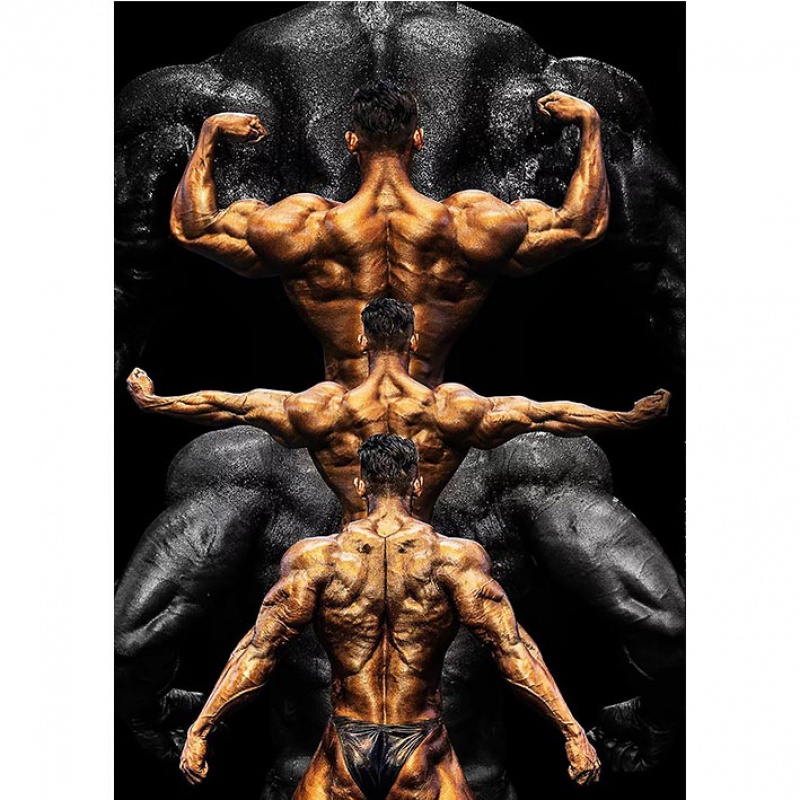 狼天影 鹿晨辉海报墙贴画健身房宿舍健美先生励志墙上床头贴纸可定制