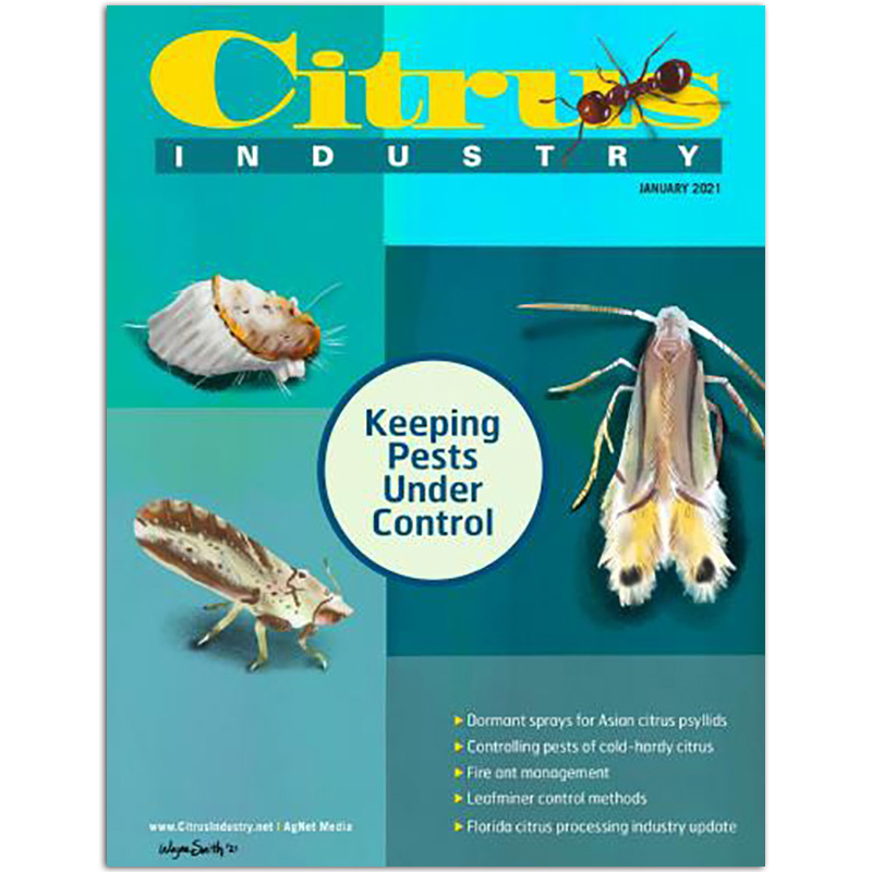 【单期可选】Citrus Industry Magazine 柑橘业种植加工杂志 2020/21年月 2021年1月刊