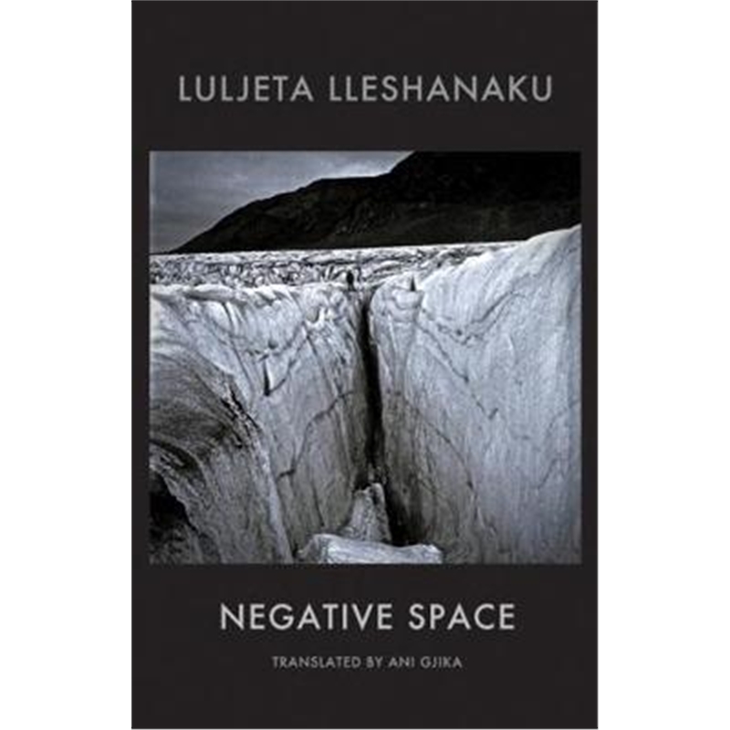 预订negative space