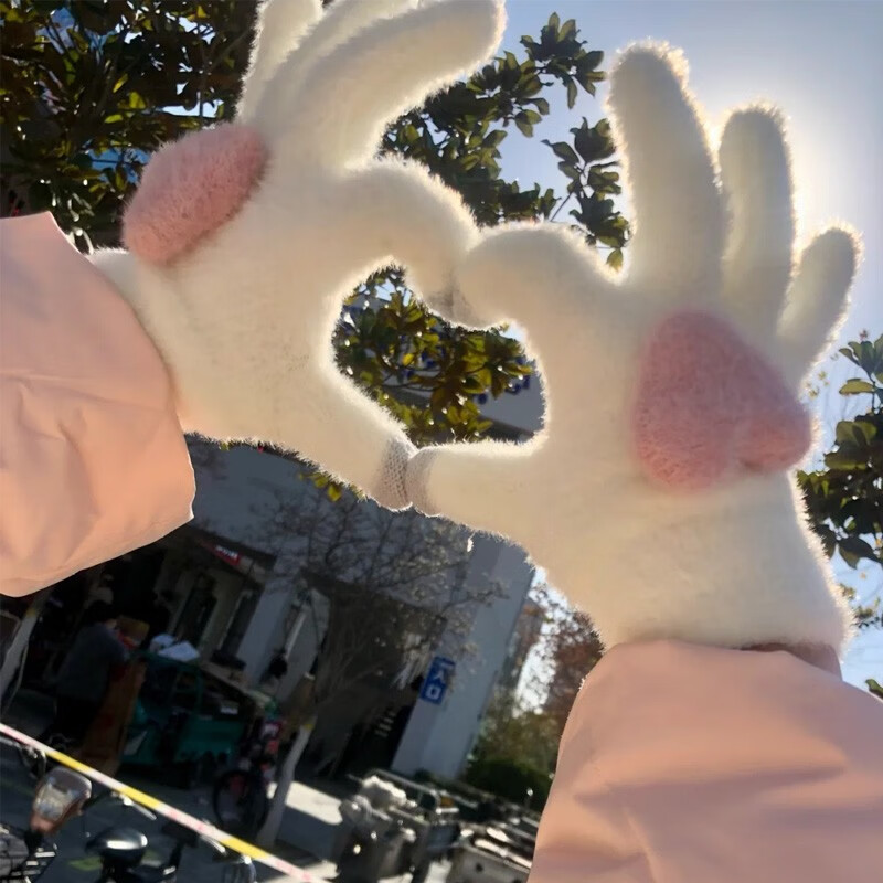 啄木鸟手套女士冬季可爱触屏爱心韩版isn毛绒防寒保暖羊绒骑车五指耐磨 白色爱心（可触屏）