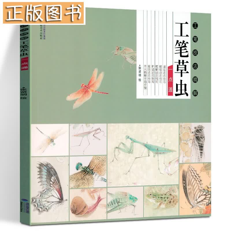 【正版现货，当天发货】工笔草虫一点通工笔技法精解 张贤明绘国画花鸟鱼虫技法讲解 基础技法白描勾线绘画作品 名家画作品鉴解