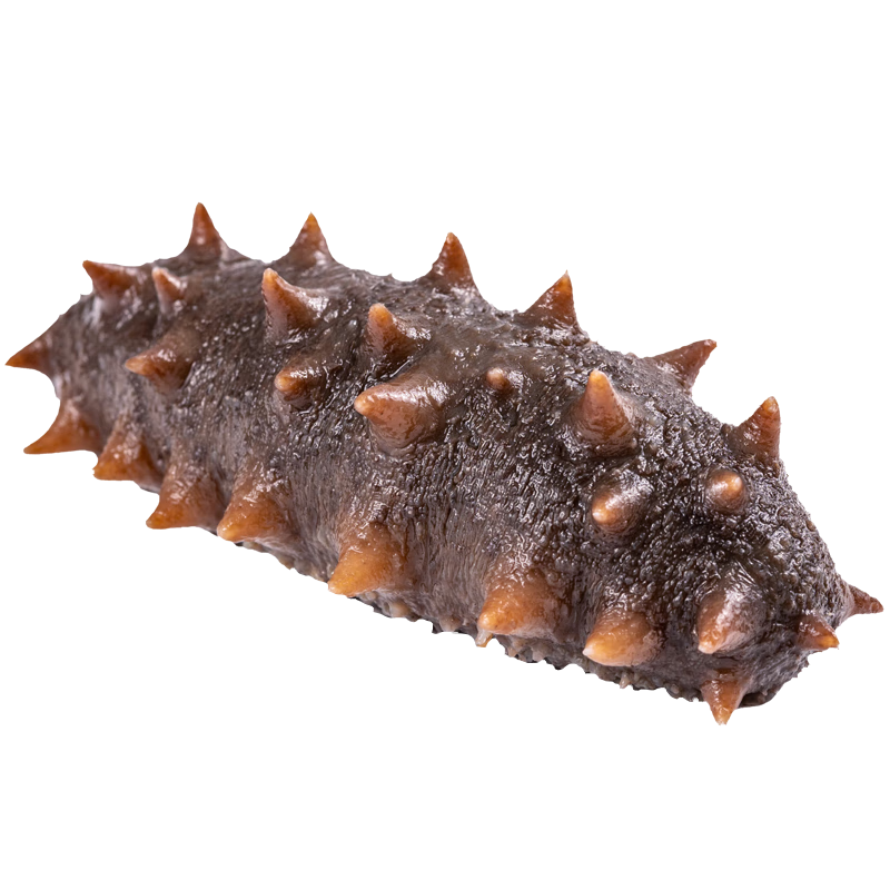 ���׹�����ָ���� �����䶳��ʳ���� �ɴ̲� ���ʼ�ʳ���� ������ʳ�������� ��ʳ���ξ���500g��18-25ֻ��