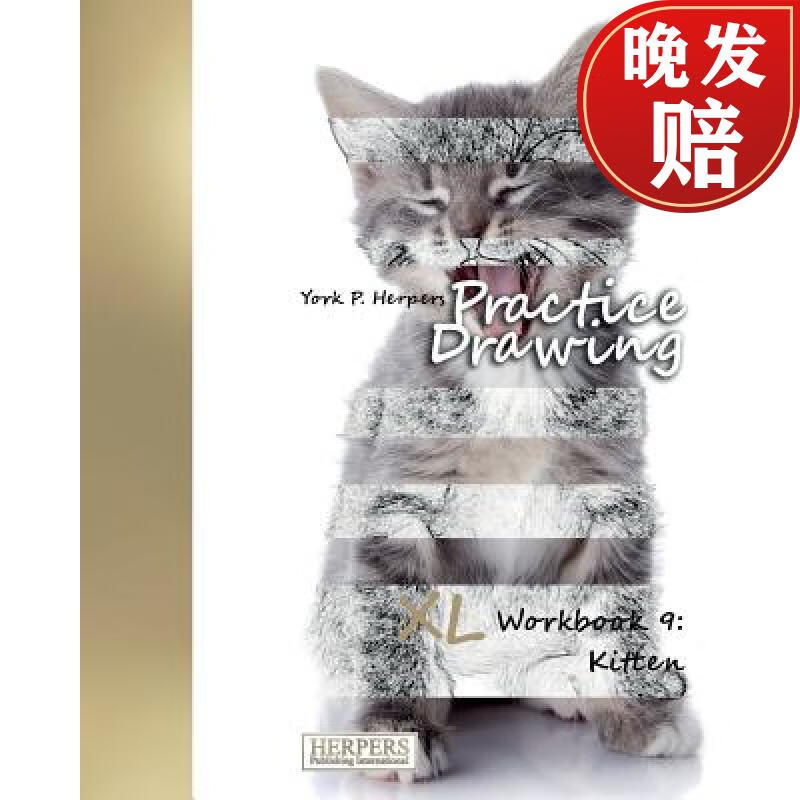 【4周达】practice drawing - xl workbook 9: kitten