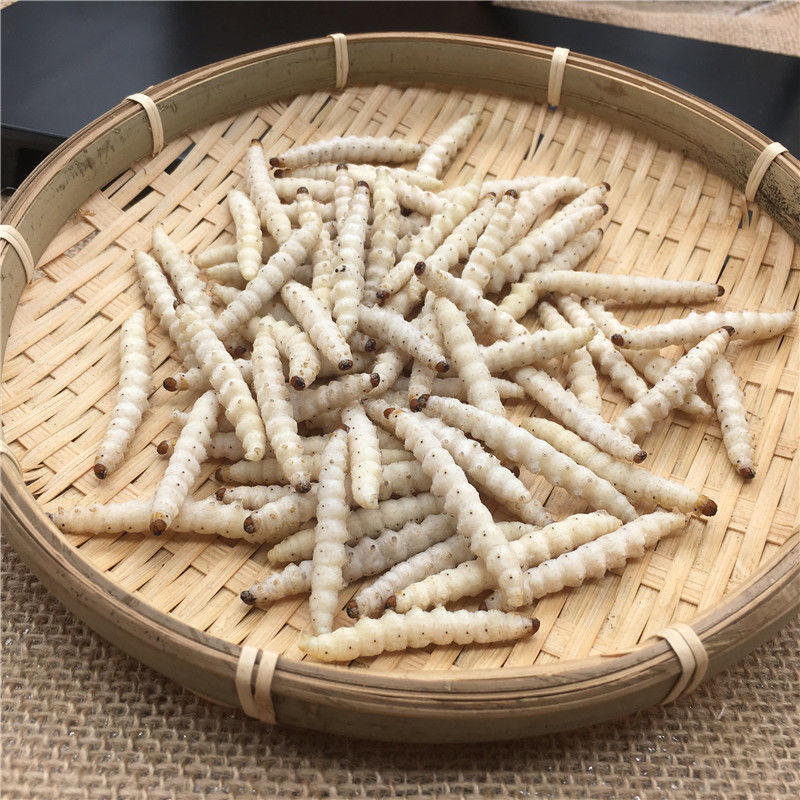 云南野生竹虫竹蜂虫新鲜速冻拍1斤竹蛹竹节虫500克