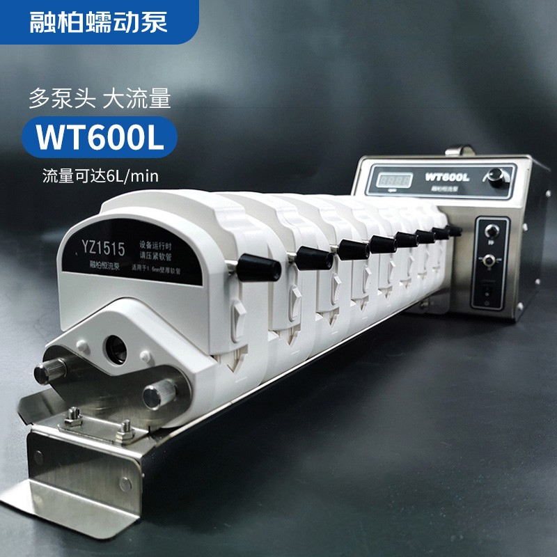 融柏恒流泵wt600l工业型蠕动泵大流量多泵头软管泵无刷电机驱动泵600