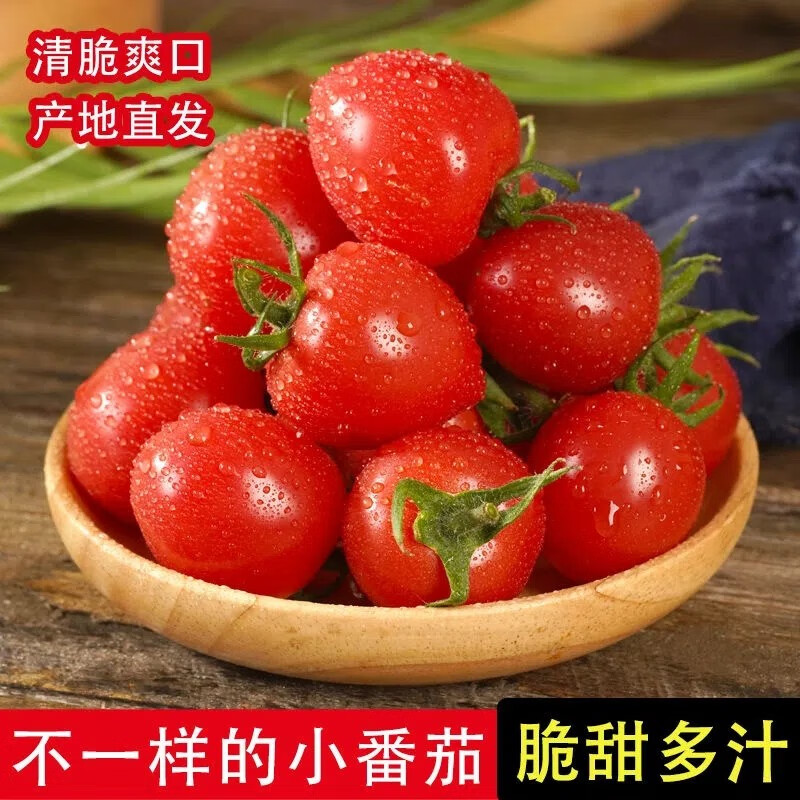 帆儿庄园 新鲜圣女果小西红柿生鲜蔬菜 红番茄 2.5kg