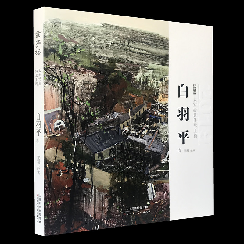 白羽平油画作品集 中国油画名家 大师色彩风景临摹写生作品集 油画