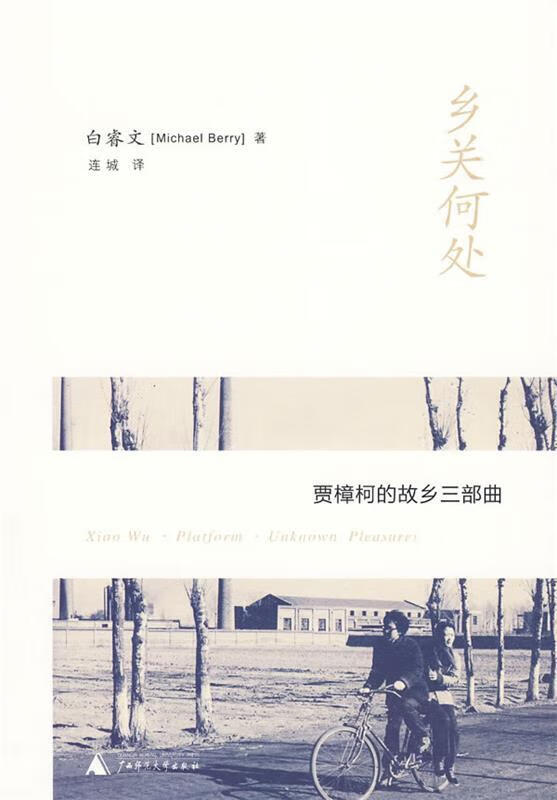 乡关何处:贾樟柯的故乡三部曲【正版图书,放心购买】