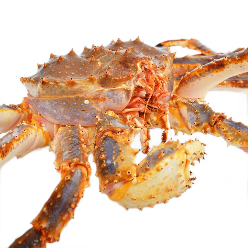 蟹类历史价格走势|蟹类价格走势图