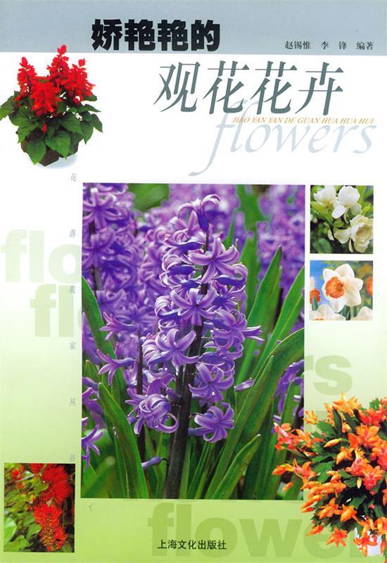 娇艳艳的观花花卉花落我家丛书