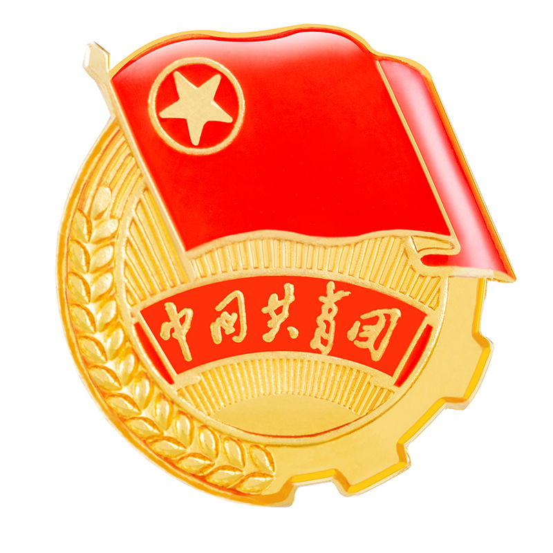 型团员徽章贴纸蝴蝶磁吸胸针团旗中国青少年学生用新款加厚定制团徽 2